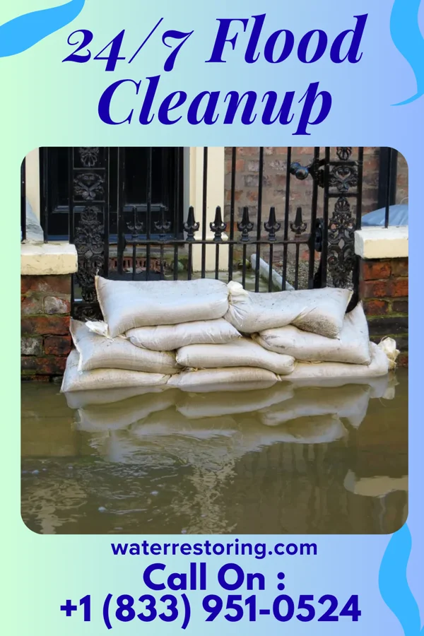 24/7 Flood Cleanup in Hamlin, WV