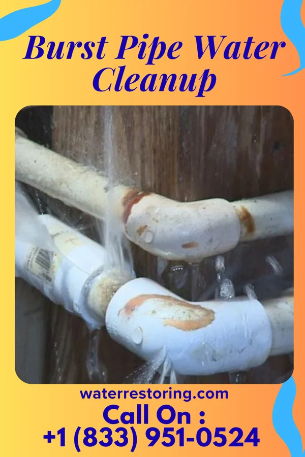 Burst Pipe Water Cleanup in Hamlin, WV