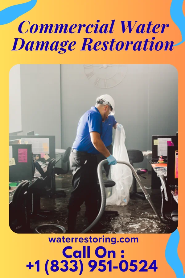 Commercial Water Damage Restoration in Hamlin, WV