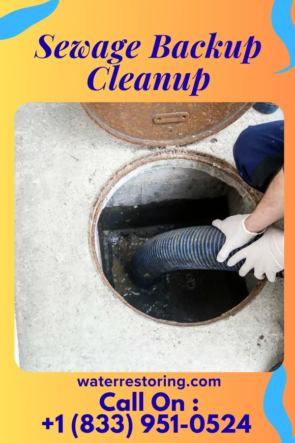 Sewage Backup Cleanup in Hamlin, WV