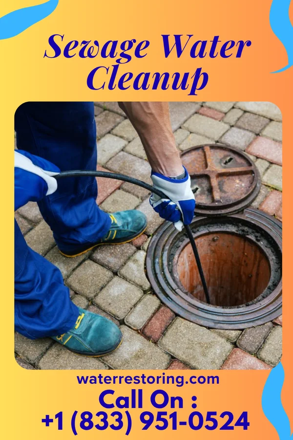 Sewage Water Cleanup in Hamlin, WV